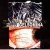 GELSOMINA / BIZARRE UPROAR "2007-2008" 2xcd